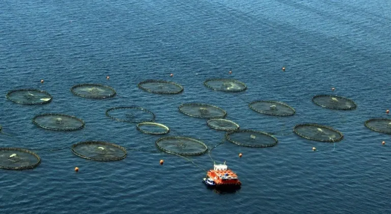 Türkiye, Akdeniz ve Karadeniz balıkçılığında lider konumda