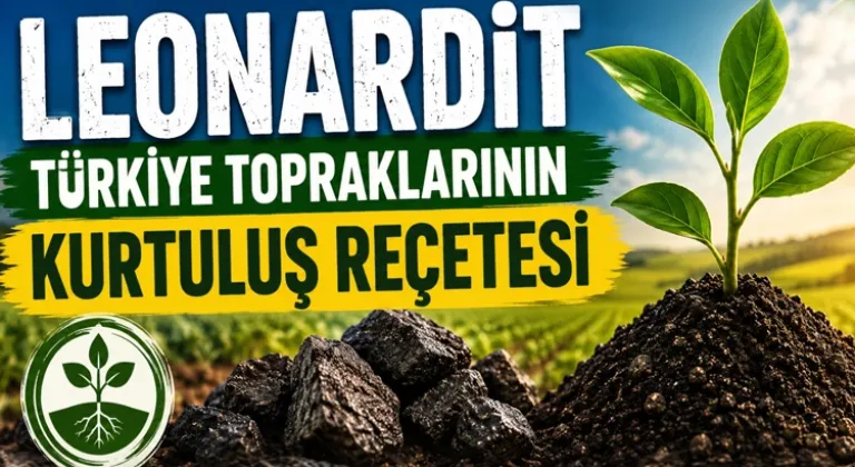 Türkiye tarımında yeni umut... Leonardit ile toprağın hafızası canlanıyor