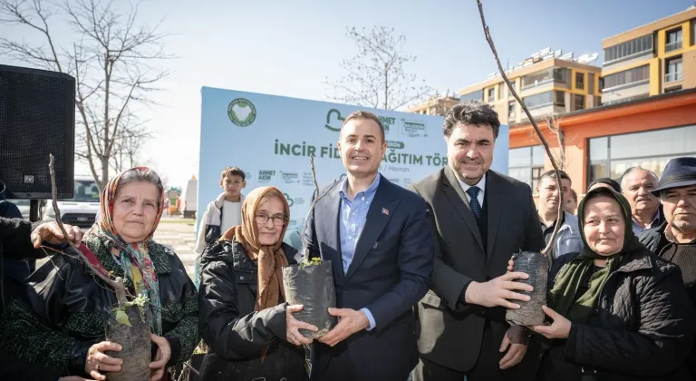 Üreticilere incir fidanı desteği