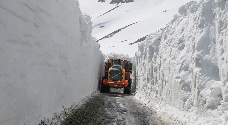 Van’da etkili olan kar yağışı nedeniyle 296 yol ise ulaşıma kapandı