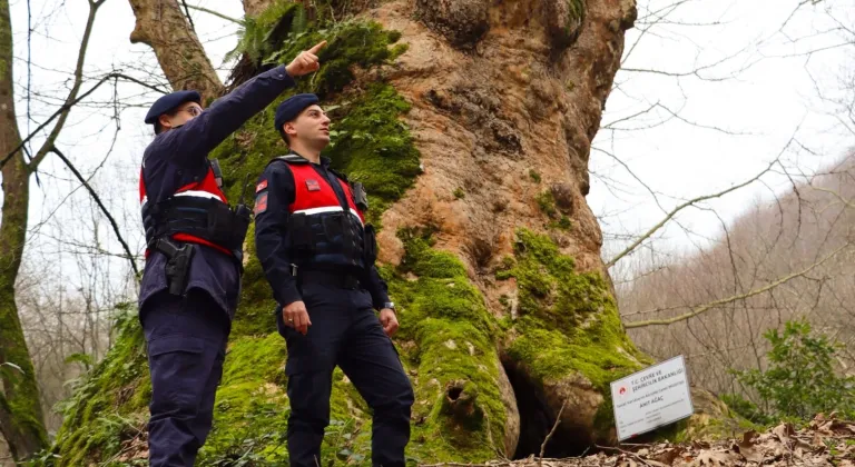 Yalova’da Jandarma, Turizm Bölgelerinde Güvenliği Güçlendirdi