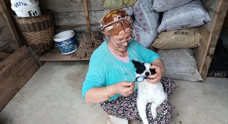 Yaralı köpeği anne şefkatiyle hayata döndürdü
