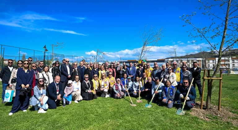 Yetişkin ağaçlar toprakla buluştu