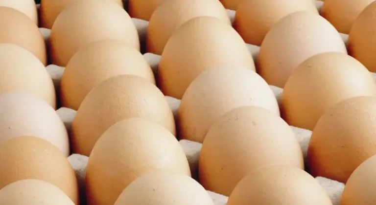 Yumurta Tebliği Değişti: A Sınıfı Yumurtalara Tüketim Tarihi Şartı

