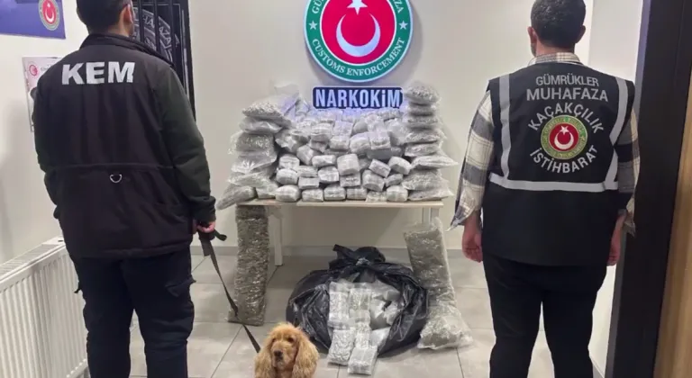 Zehir tacirlerine darbe! 659 kilo uyuşturucu ele geçirildi