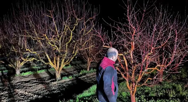 Zirai Don Alarmı: Üreticilere Kritik Uyarı!