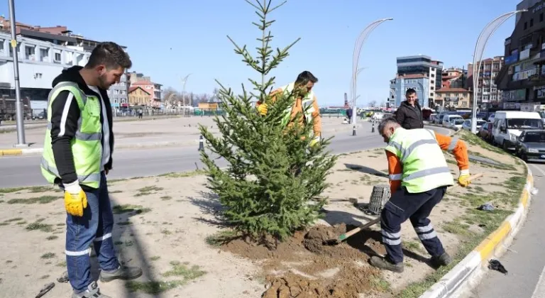 Zonguldak’ta yeşil alanlar batı ladini fidanlarıyla güçleniyor