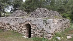 Benzer Haber