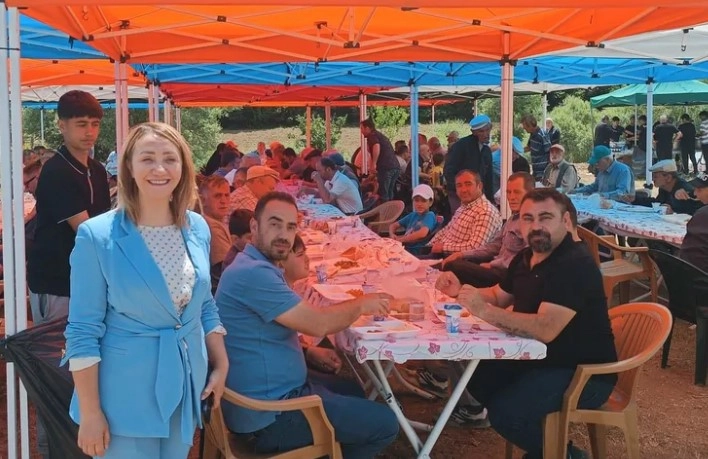 Benzer Haber