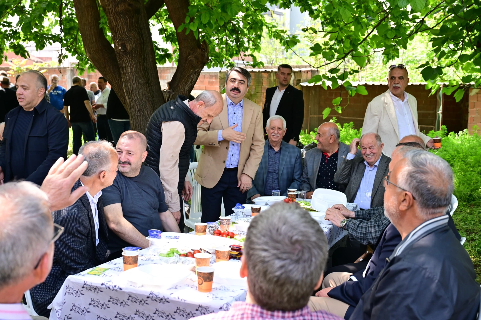 Benzer Haber