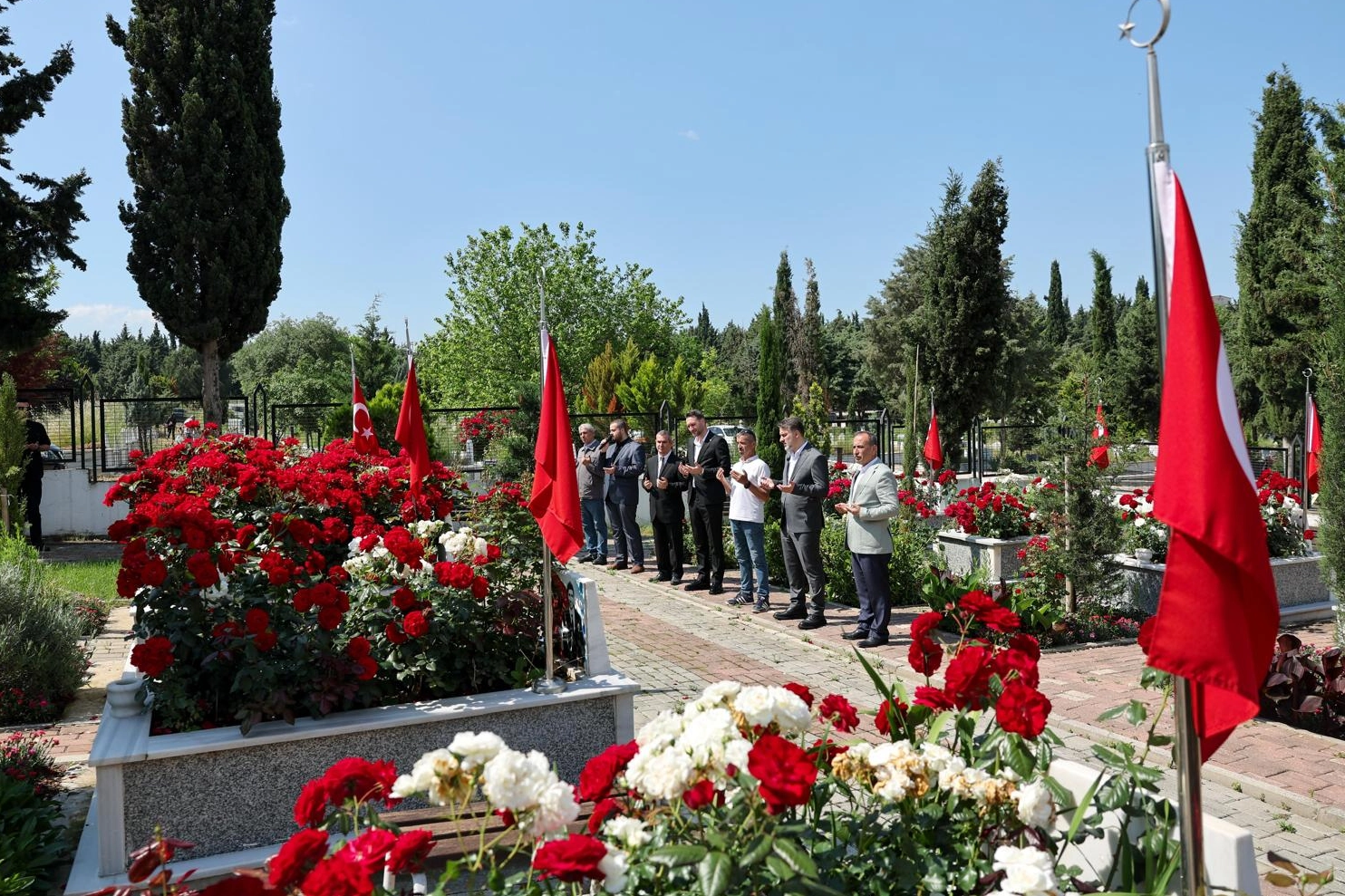 Benzer Haber