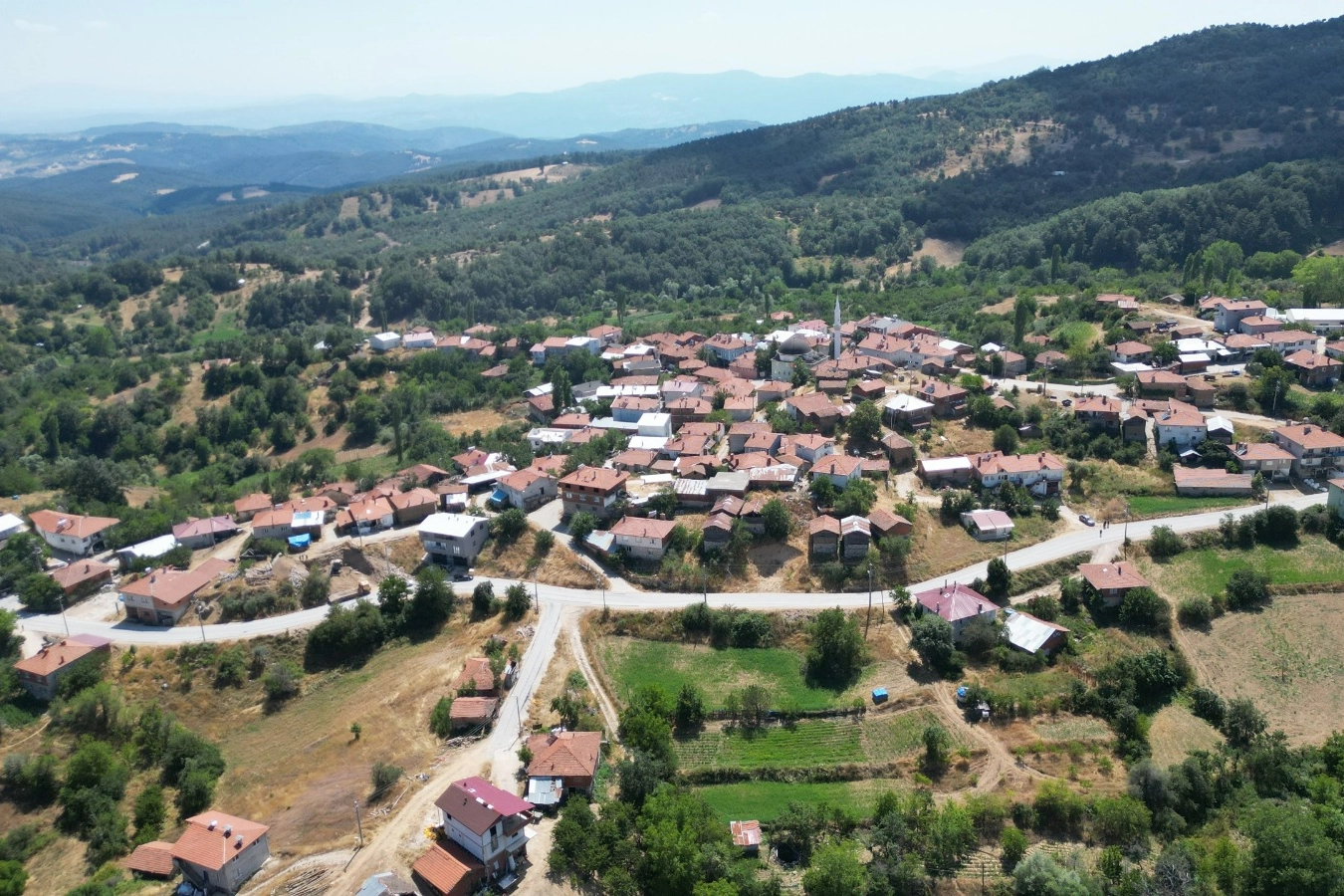Benzer Haber