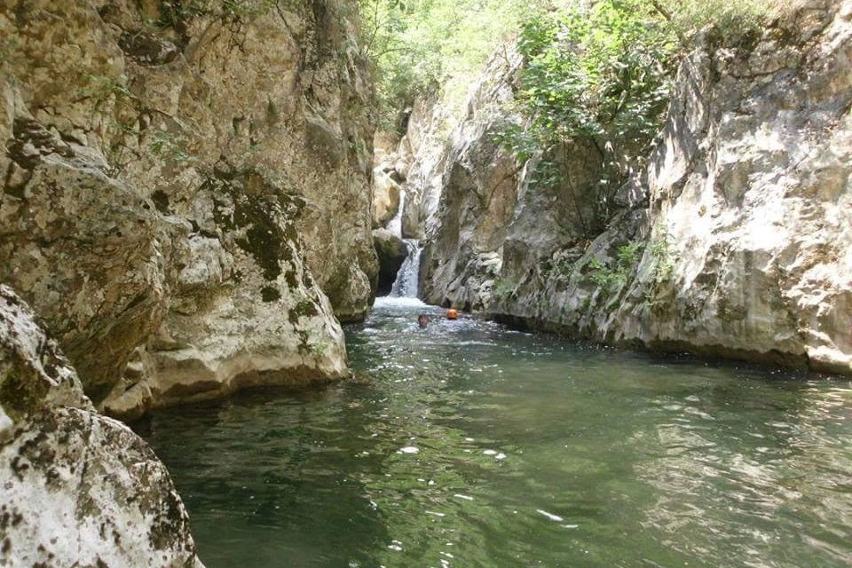 Benzer Haber