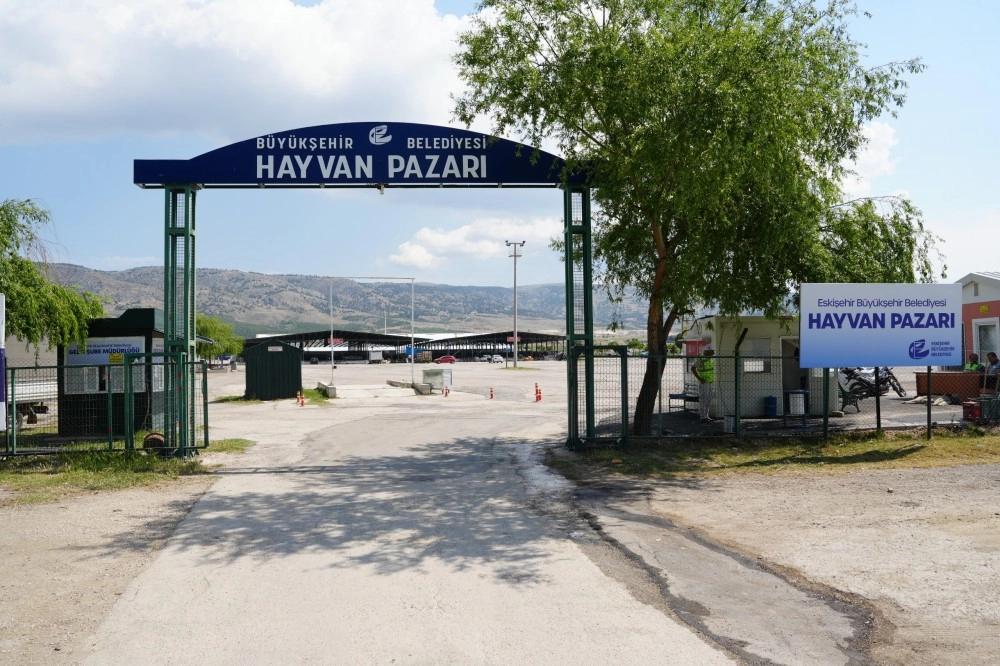 Benzer Haber