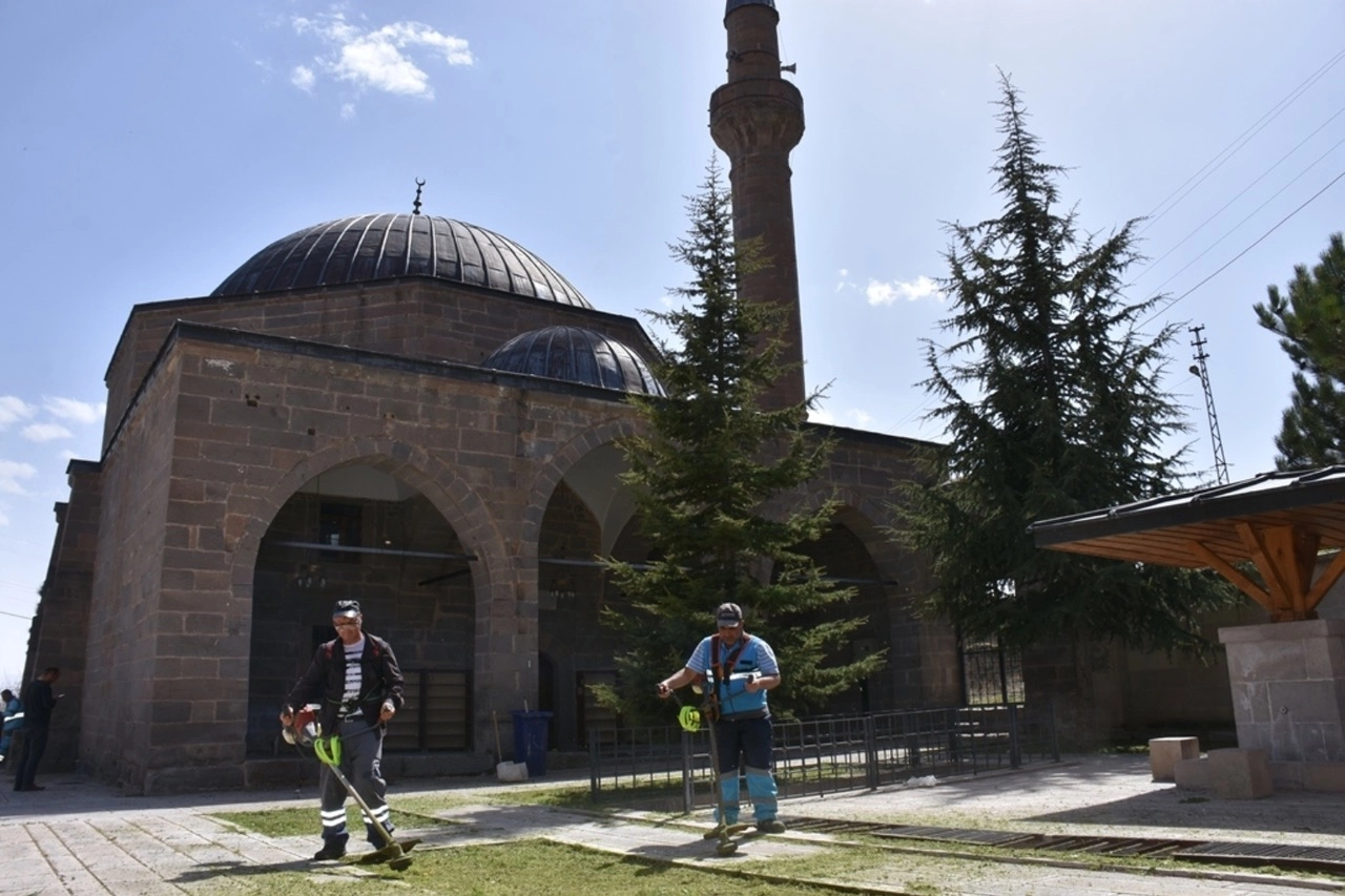 Benzer Haber