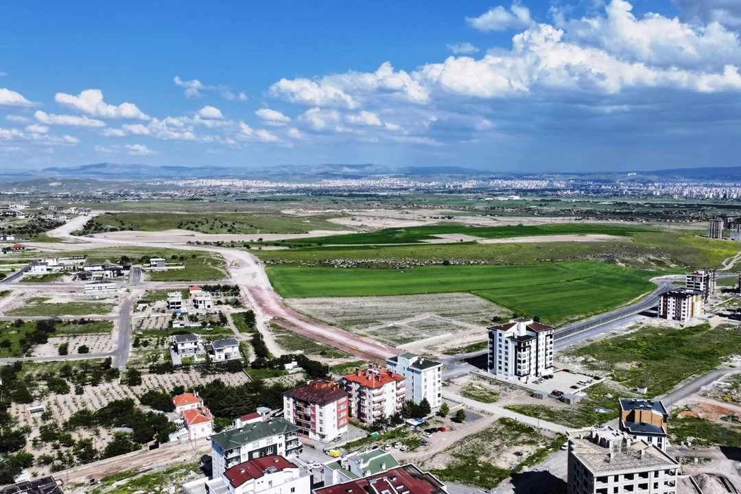 Benzer Haber
