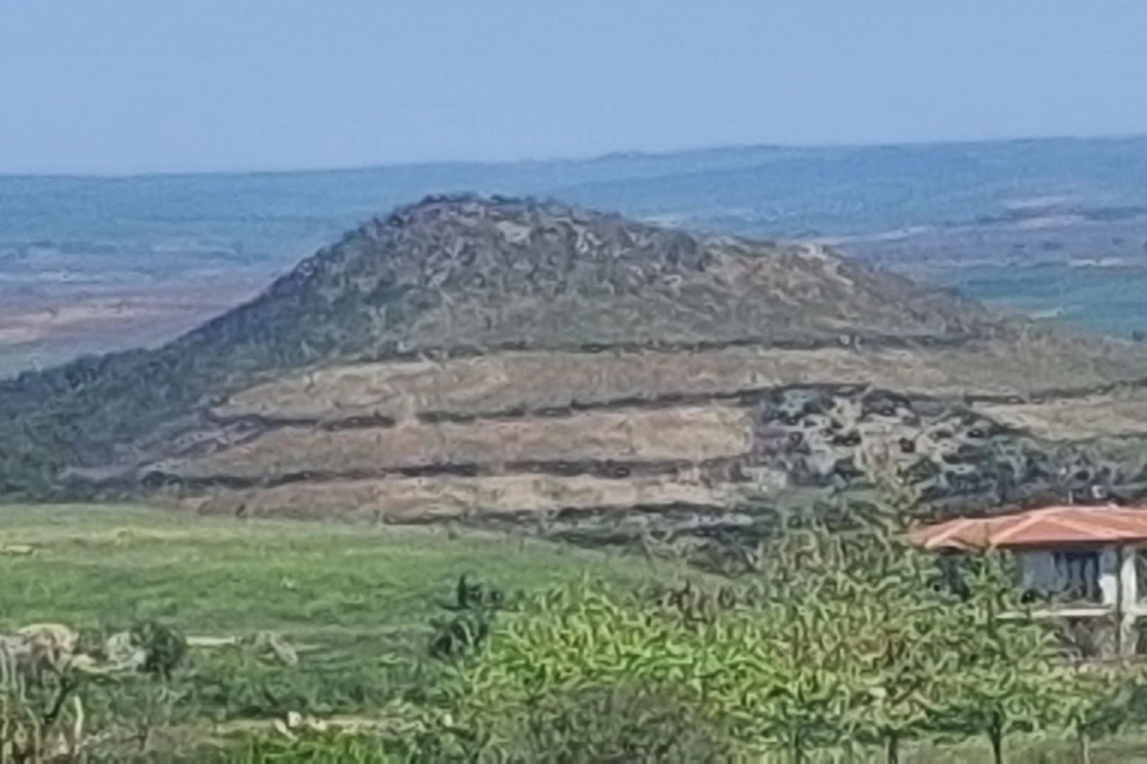 Benzer Haber