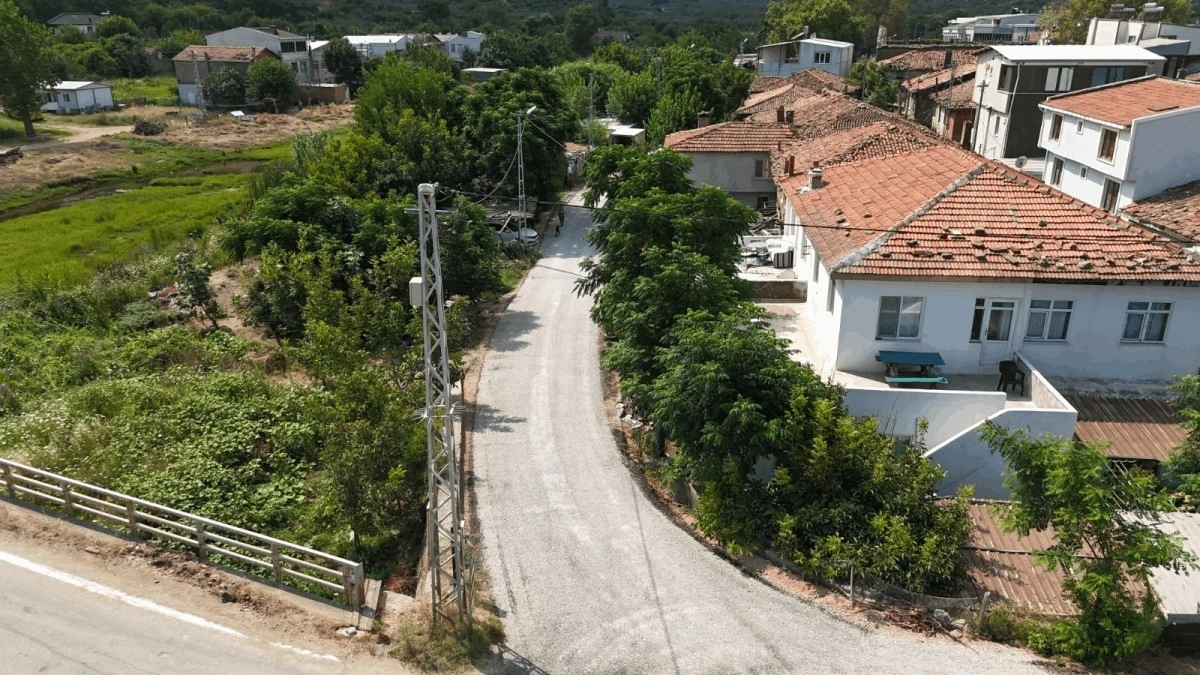 Benzer Haber
