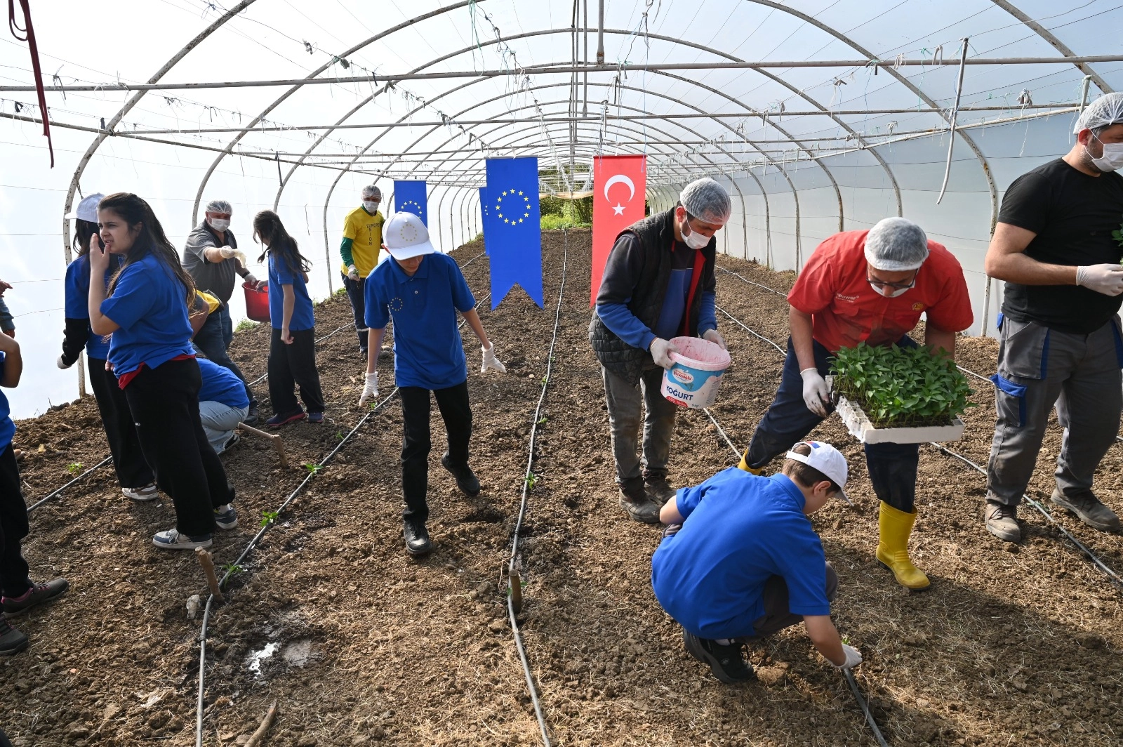 Benzer Haber