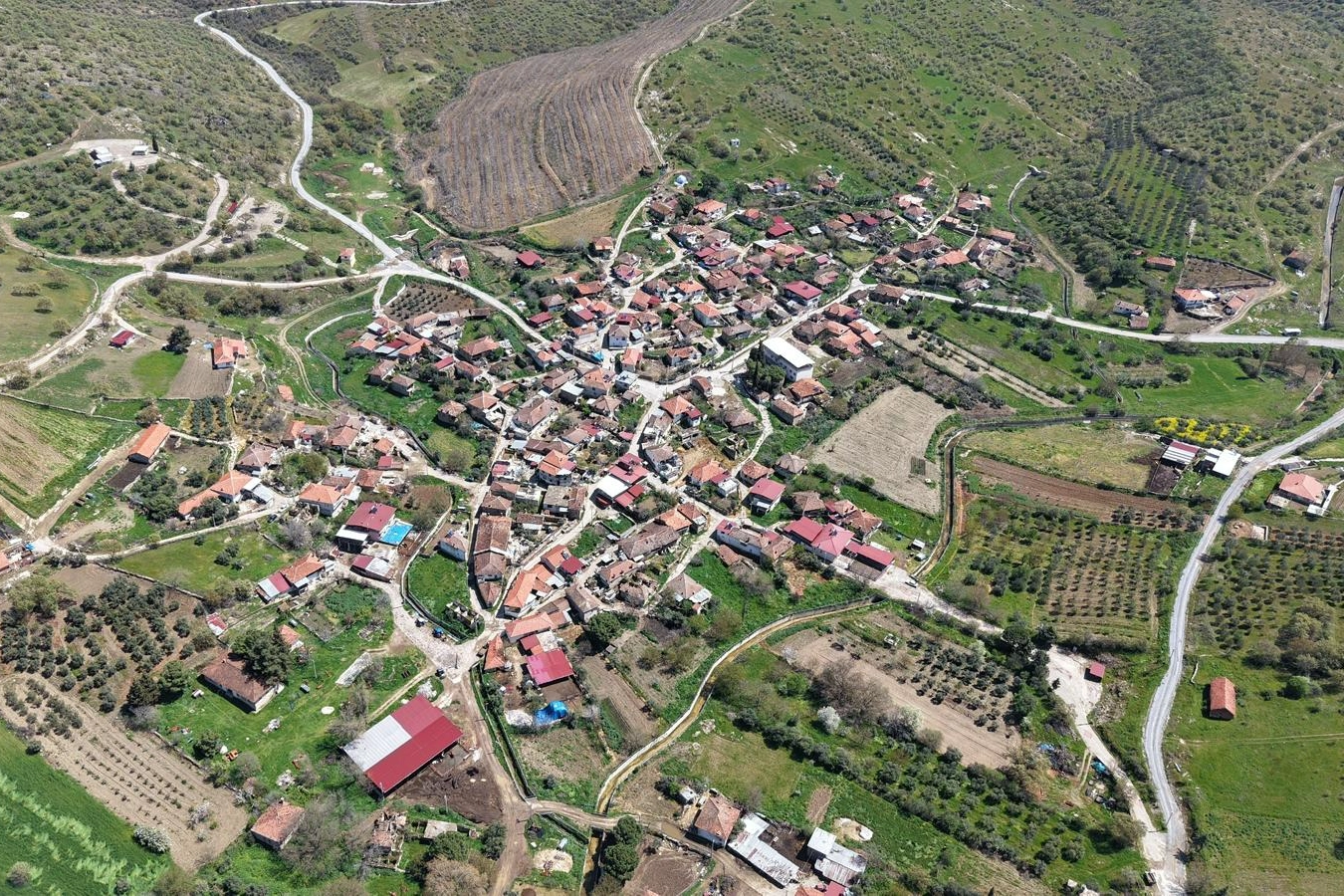 Benzer Haber