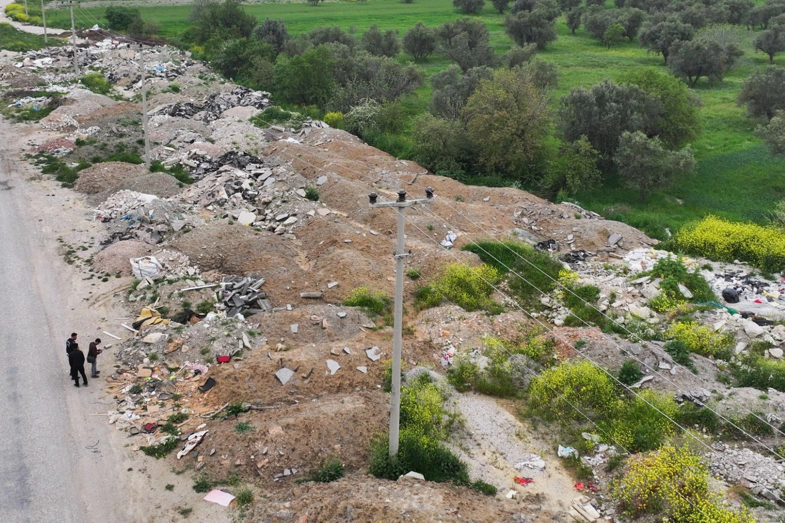 Benzer Haber