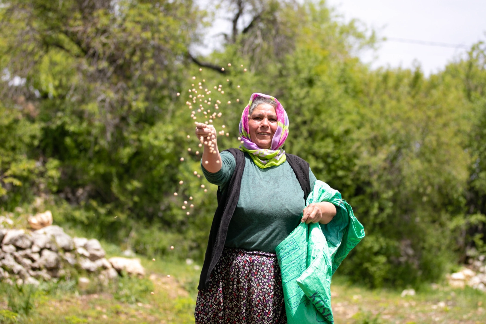 Benzer Haber