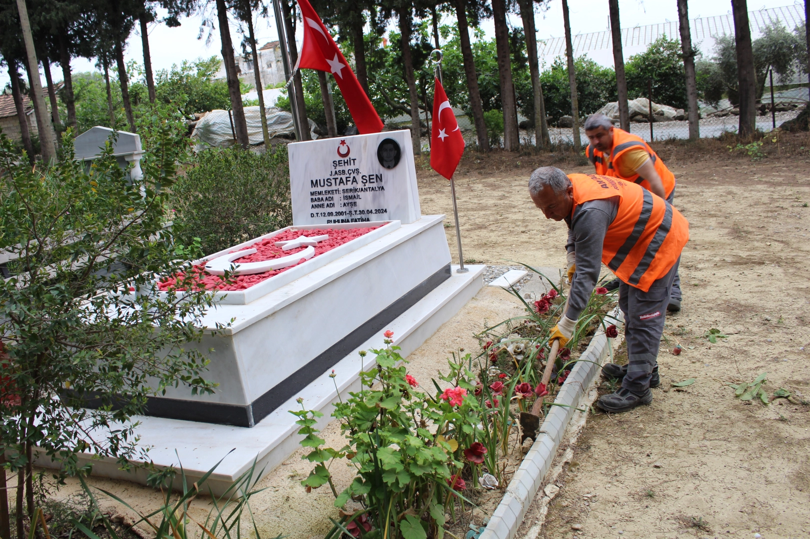 Benzer Haber