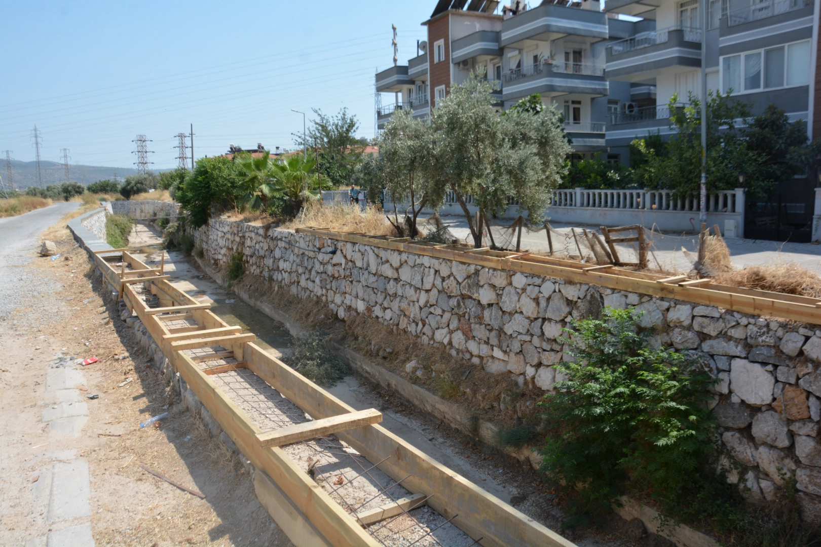 Benzer Haber
