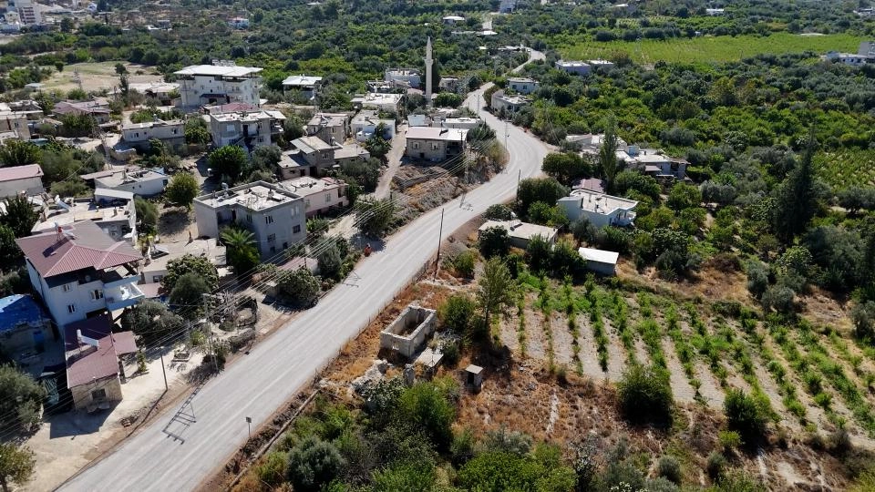 Benzer Haber