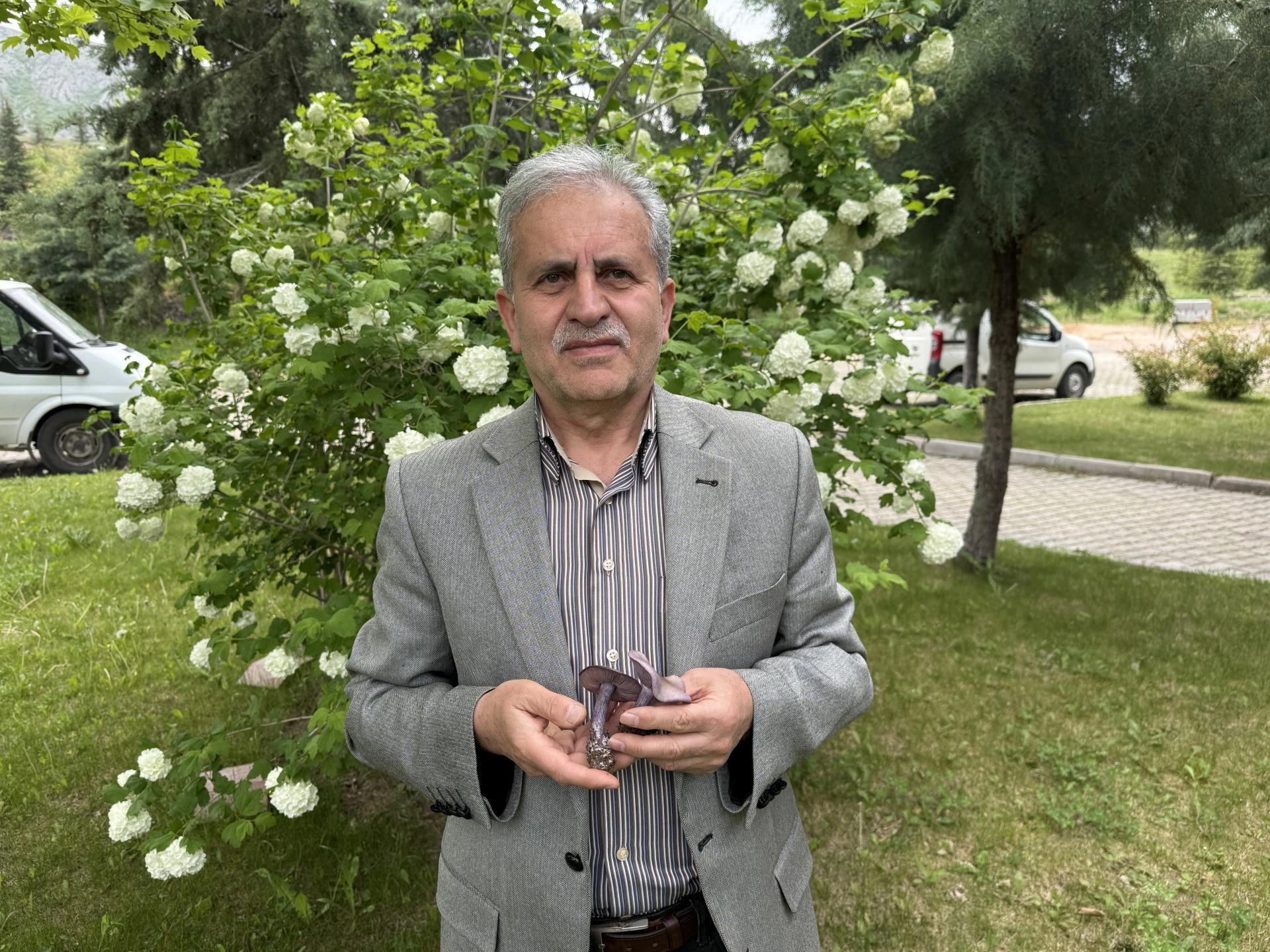 Benzer Haber