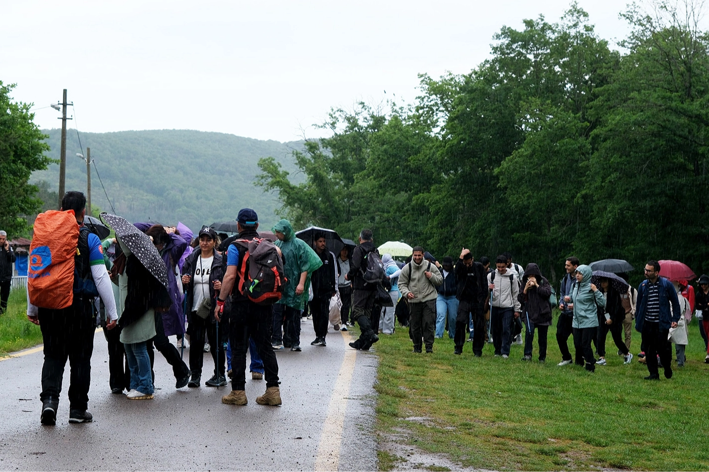 Benzer Haber