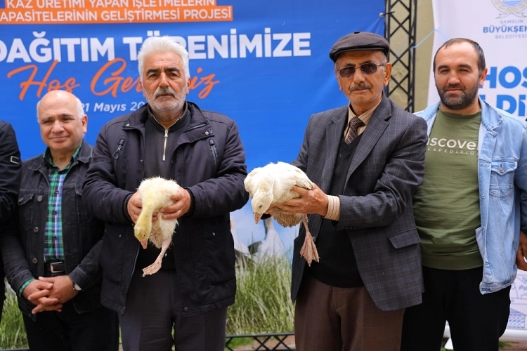 Benzer Haber