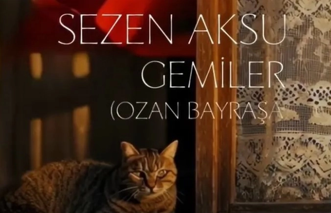 Benzer Haber