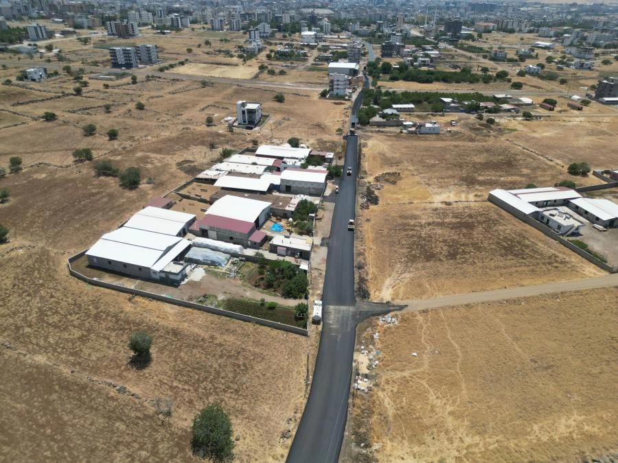 Benzer Haber