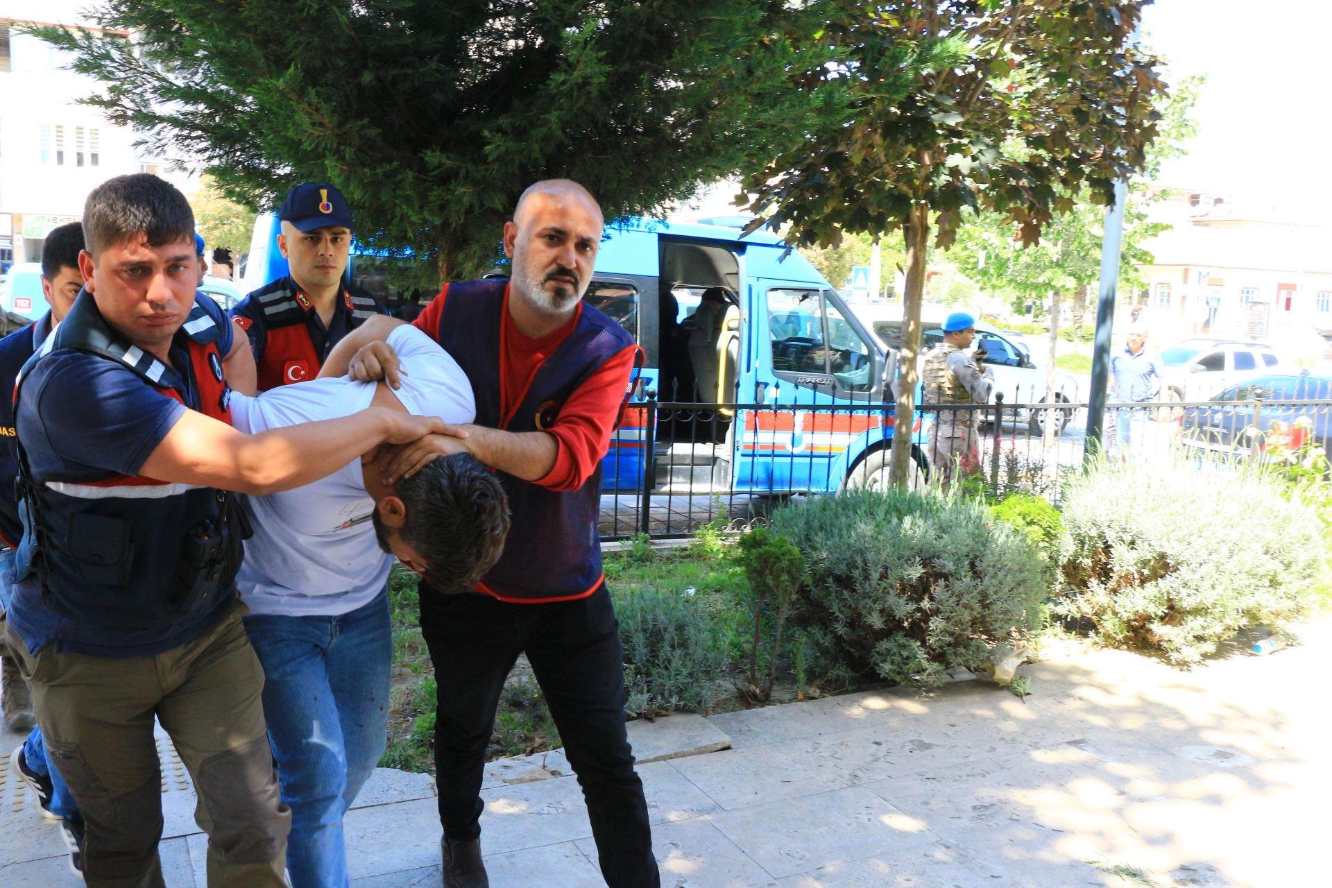 Benzer Haber