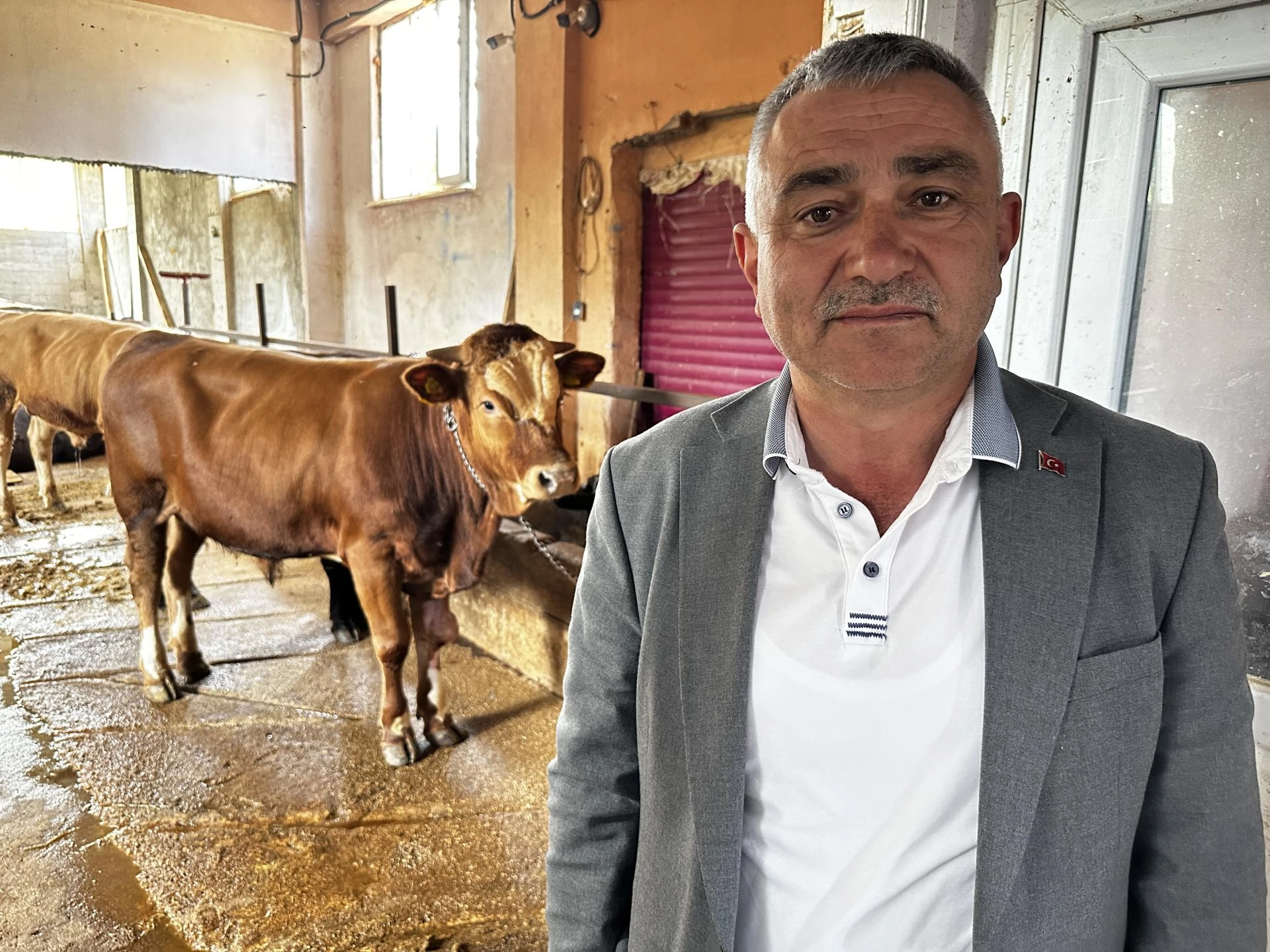 Benzer Haber