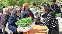 Haber Resmi