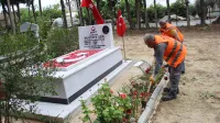 Haber Resmi